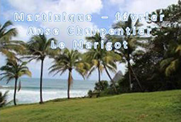 Martinique Anse Charpentier � Le Marigot 02/2015
