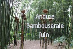 Anduze Bambouseraie 06/2013