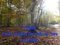 France Forêt de St Germain en Lay 11/2014