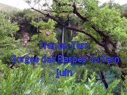 France Tarn Gorges des Raspes du Tarn 06/2014