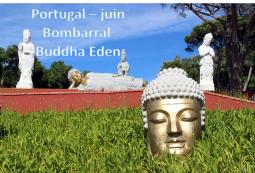 Inde - Bombarral - Buddha Eden 02/2016