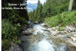 Suisse - Le Valais, Bisse du Milieu 06/2017