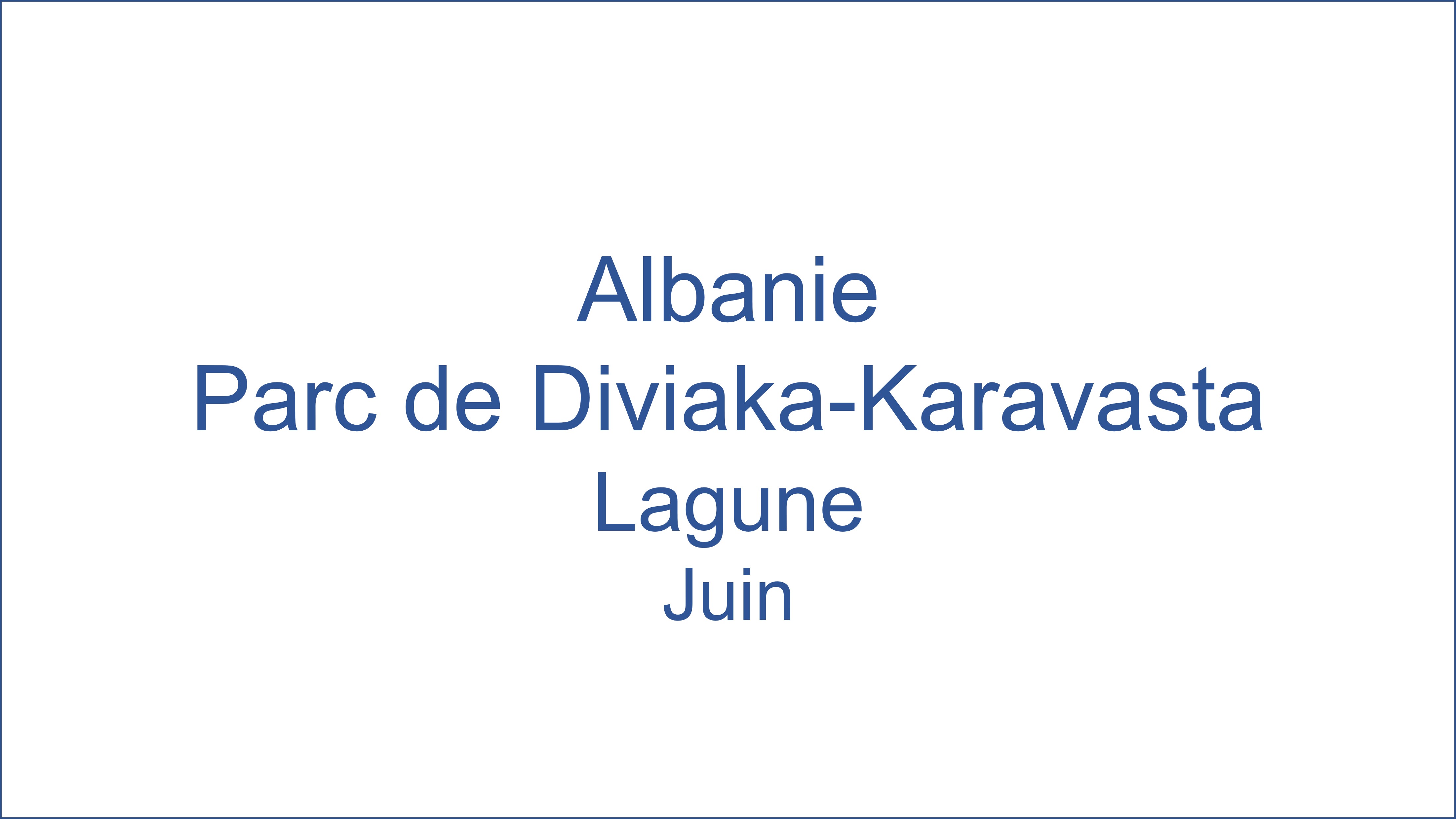 Albanie - Parc de Diviaka-Karavasta 06/2022