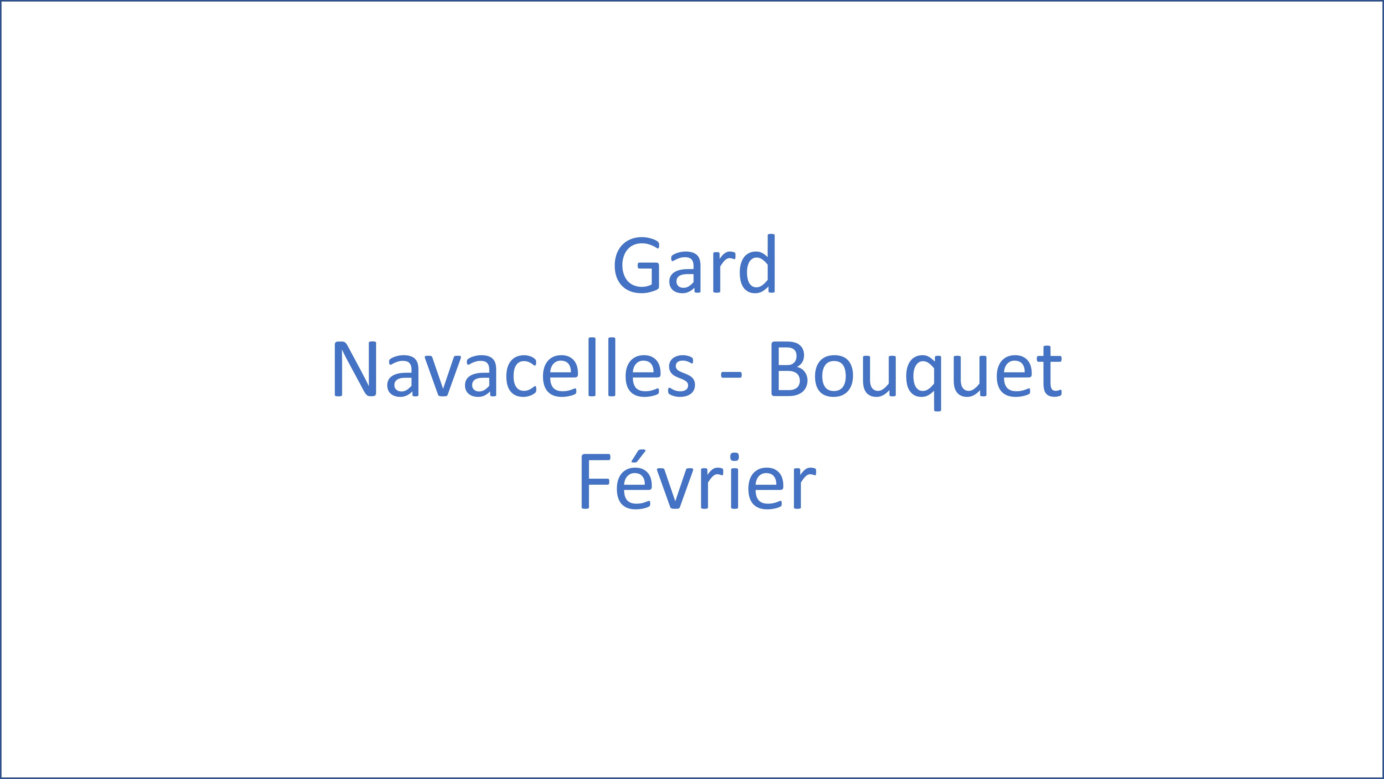 Gard - Navacelles - Bouquet - 02/2025